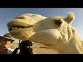 2 Horas De Exploración Del Medio Oriente Histórico y El África Antigua | 4K Documental