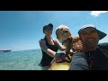 Havanese Puppy’s First Time on the Beach | Panama City Beach, Florida USA.