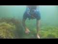 Scuba Diving in Malvan