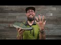 Did Topo Ruin My Favorite Hiking Shoe? - Pursuit 2 Review