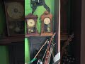 My clock collection as of July 11th, 2024 #antique #vintageclock #vintage #retro #clock #antique