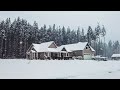🏡House In Snow Forest - Winter Relaxing Piano Music - Deep Sleep Music - Meditation Yoga Music #28