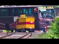 Train passing through a busy Rail Crossing/ Gate- Benapole Commuter of Bangladesh Railway