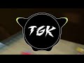 Throwback Galaxy (TGKawikachu House Remix) [Super Mario Galaxy 2]
