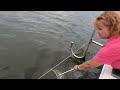 Crabbing with trot line from my boat  Chesapeake Bay Maryland for  blue crabs at sunrise