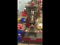 Pegasus Robot picking machine