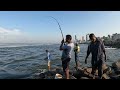 FISHING AT WELLAWATTA | GT AND QUIN FISH | NEW METHOD | වැල්ලවත්තේ මසුන් ඇල්ලීම