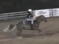 Melanie Barrel Racing