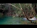 small forest waterfall in the mountain,the voices of the birds for sleeping,study and relax