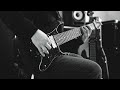 Schecter vs Ibanez vs Agile || 8 String Guitars - Modern Metal Djent