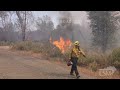 07-29-2024 Manton, CA - Park Fire - Close Range Retardant Drops, Firing Operation, Trees Torching