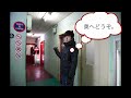 -ZABOU動画- 地下鉄四ツ橋駅からZABOUへの行き方。