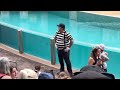 Tom the mime | SeaWorld Mime | Seaworld Mime Orlando