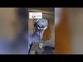 Dragon Puppet Crafts - Paper Dragon TikTok Compilation #13