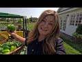 Harvesting Tomatoes, Peppers & Onions! 🍅🫑🧅 // Garden Answer