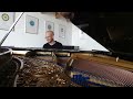 #409 of 10.000 Blüthner Grand Piano Pieces