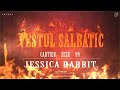 VESTUL SALBATIC - JESSICA RABBIT (CARTIER ❌ ZEZE ❌ 99) | prod. whysoicy