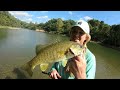 This PRISTINE Mountain Creek Was PACKED FULL of Fish! -- Summer Wade Fishing! (incredible)