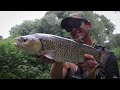 BARBEL FISHING TIPS - TRY THIS simple tactic on small rivers (new season 2023)