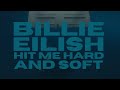 Billie Eillish - WILDFLOWER (Lyrics)