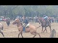 gauchos y gauchadas