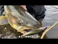 If you go fishing with handsome YouTuber, you will find a monster ... #Japan #Fishing #Trout