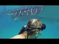 GoPro Awards: Ocean Ramsey and a Whale Shark