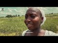 African Village Life: Days in Rural Volta With Grandma|| Ghana Travel Vlog🇬🇭