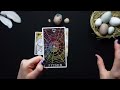 You are about to step into a new world • Animal Guide Message | Pick a card tarot reading