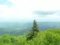 Dolly Sods Wilderness Natural Area SE. West Virginia