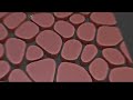 Procedural Dragon Scales in Blender with Geometry nodes - Dragon Scale Cloak