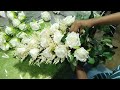 DIY Cascading Bridal Bouquet Tutorial for Budget-Friendly Weddings 2024