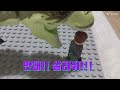 티라노 🦖의 탈출 1편