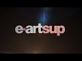 e-artsup Bumper 2013