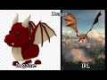 Adopt me dragons irl and in game! Part 1! (Like and sub for part 2)