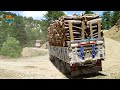 255 Extreme DANGEROUS Biggest Wood Logging Truck Operator Skill Working At Another Level