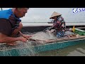 Tóm Gọn Bầy Cá Ẩn Mình Dưới Gốc Cây To | #66TV #fishing