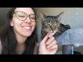 Jess Caticles reviews freeze-dried raw cat food part 1