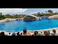 Tenerife Aqualand 2022 Dolphin Show (60fps).