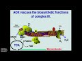 Mitochondria control of physiology and disease: beyond ATP