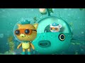 @Octonauts - Camouflage Operation | Cartoons for Kids | Underwater Sea Education