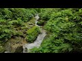 Calming Water Flowing Sound in the Mountain. Relaxing White Noise Water Sounds for Sleep, Relaxation