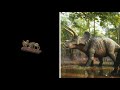 All Animal Crossing Fossils in Real Life! /New Horizons
