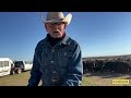 WES O'NEAL — COWBOY