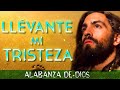 Alabanzas Catolicas para llévate mi tristeza - Cantos Catolicos para Alabar a Dios