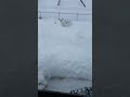 2 feet of snow rolling off the board