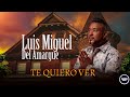Luis Miguel Del Amargue -  Te Quiero Ver