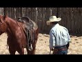 Ride Smart with Craig Cameron: Colt Start with Ty Murray Pt 5