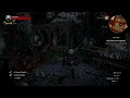 Witcher 3 Bug - Roach F'ing the Air