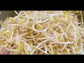 How to Grow Thick Mung Bean Sprouts at Home | 自发绿豆芽 | 发绿豆芽的注意事项
